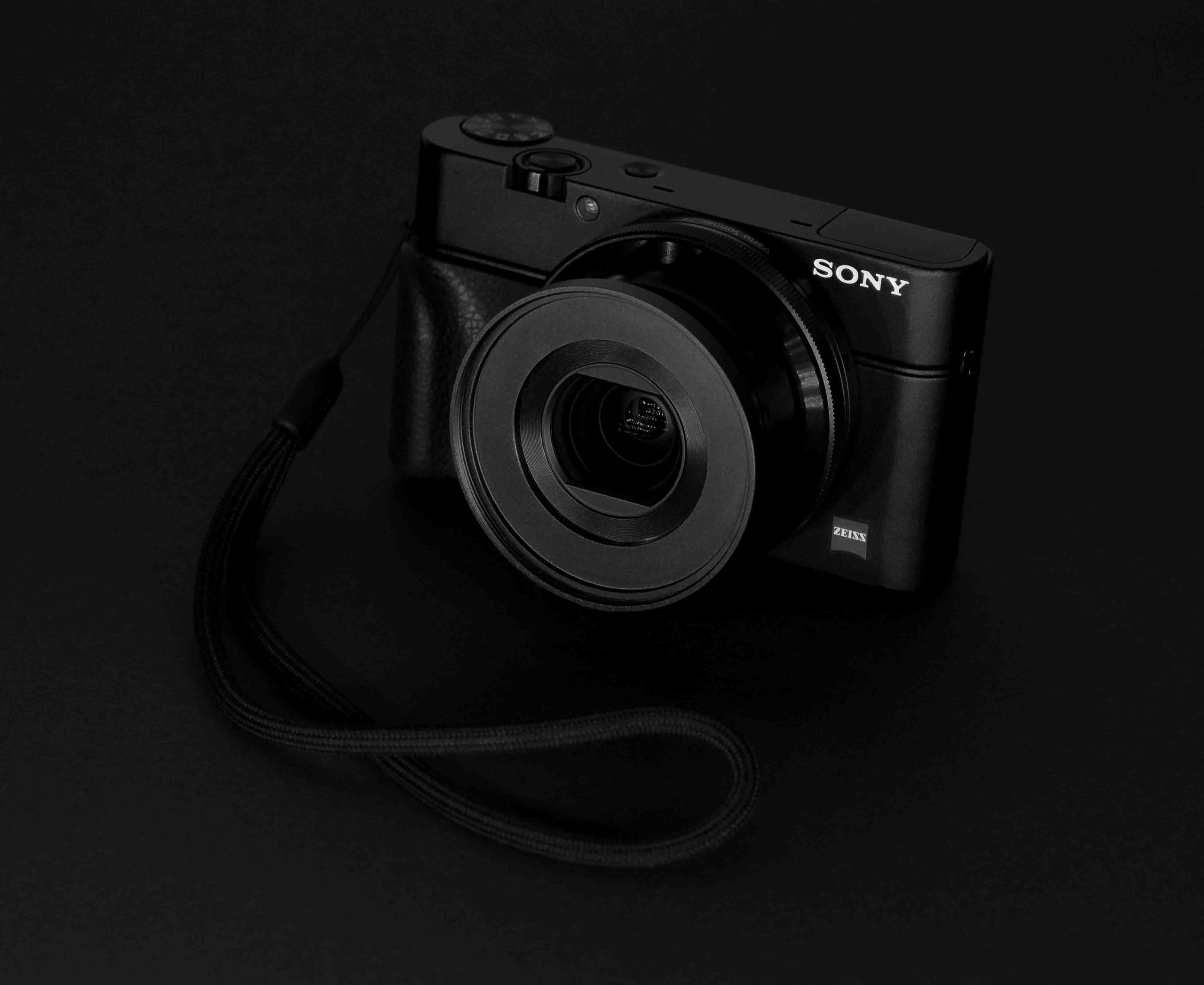 最初のカメラはコレ】初代SONY RX-100をオススメします – プロ